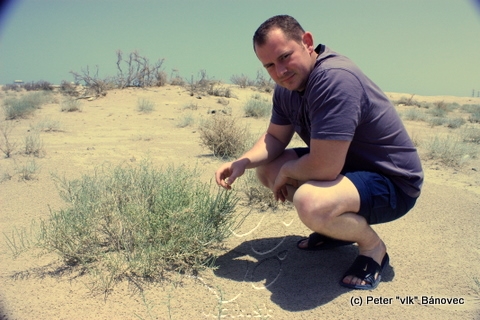 Malé trsy rastúce v púšti (videli sme iba na jednom mieste)